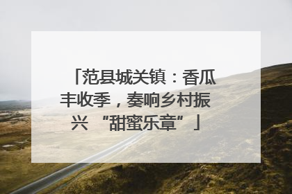 范县城关镇：香瓜丰收季，奏响乡村振兴 “甜蜜乐章”