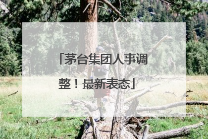 茅台集团人事调整！最新表态