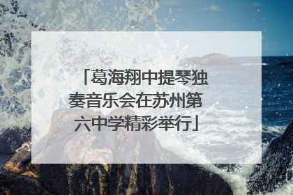 葛海翔中提琴独奏音乐会在苏州第六中学精彩举行