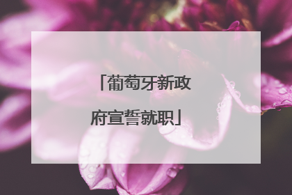 葡萄牙新政府宣誓就职