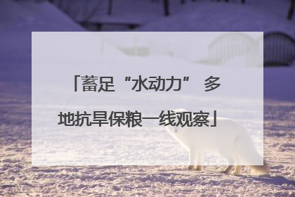 蓄足“水动力” 多地抗旱保粮一线观察