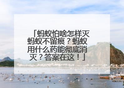 蚂蚁怕啥怎样灭蚂蚁不留痕？蚂蚁用什么药能彻底消灭？答案在这！