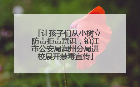 让孩子们从小树立防毒拒毒意识，镇江市公安局润州分局进校展开禁毒宣传