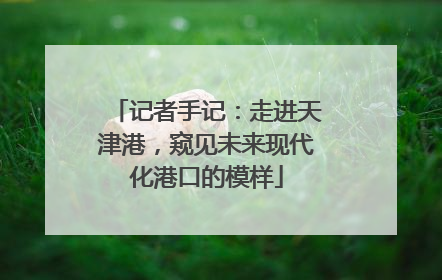 记者手记：走进天津港，窥见未来现代化港口的模样