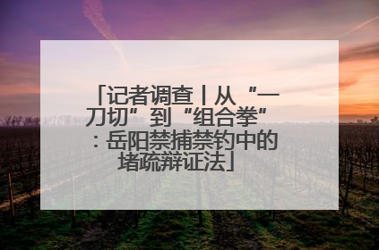 记者调查丨从“一刀切”到“组合拳”：岳阳禁捕禁钓中的堵疏辩证法