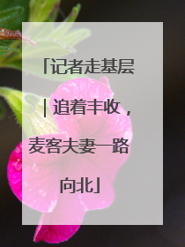记者走基层｜追着丰收，麦客夫妻一路向北