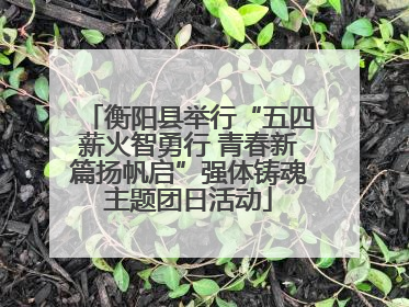 衡阳县举行“五四薪火智勇行 青春新篇扬帆启”强体铸魂主题团日活动