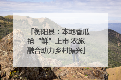 衡阳县：本地香瓜抢“鲜”上市 农旅融合助力乡村振兴