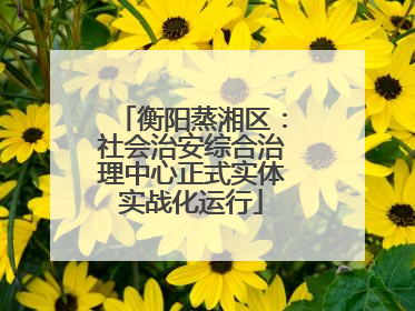 衡阳蒸湘区：社会治安综合治理中心正式实体实战化运行