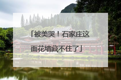 被美哭！石家庄这面花墙藏不住了