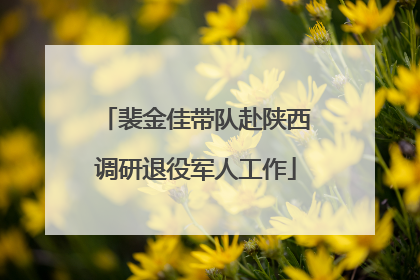 裴金佳带队赴陕西调研退役军人工作