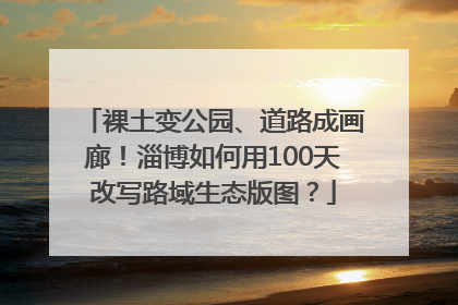 裸土变公园、道路成画廊！淄博如何用100天改写路域生态版图？