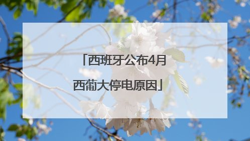 西班牙公布4月西葡大停电原因