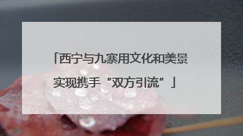 西宁与九寨用文化和美景实现携手“双方引流”