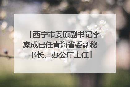 西宁市委原副书记李家成已任青海省委副秘书长、办公厅主任