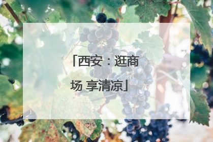 西安：逛商场 享清凉