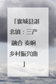 襄城县湛北镇：三产融合 奏响乡村振兴曲