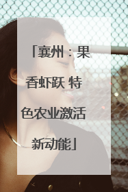 襄州：果香虾跃 特色农业激活新动能