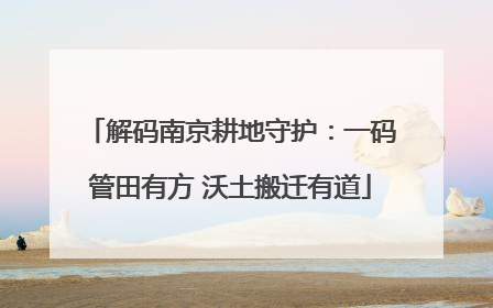 解码南京耕地守护：一码管田有方 沃土搬迁有道