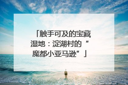 触手可及的宝藏湿地：淀湖村的“魔都小亚马逊”
