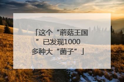 这个“蘑菇王国”已发现1000多种大“菌子”
