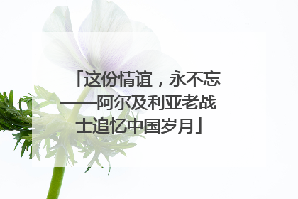 这份情谊，永不忘——阿尔及利亚老战士追忆中国岁月