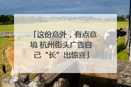 这份意外，有点意境 杭州街头广告自己“长”出惊喜