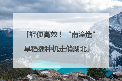 轻便高效！“南漳造”旱稻播种机走俏湖北