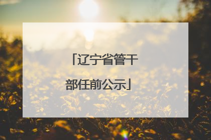 辽宁省管干部任前公示