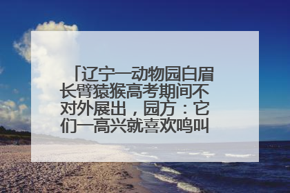 辽宁一动物园白眉长臂猿猴高考期间不对外展出，园方：它们一高兴就喜欢鸣叫，怕影响考试