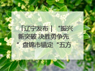 辽宁发布｜“振兴新突破 决胜勇争先”盘锦市锚定“五方面工作”力争全年地区生产总值增长5.5%左右