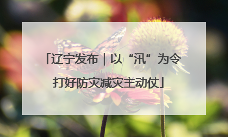 辽宁发布｜以“汛”为令 打好防灾减灾主动仗