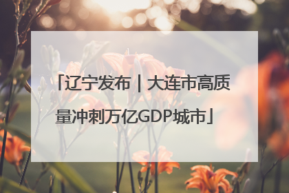 辽宁发布｜大连市高质量冲刺万亿GDP城市