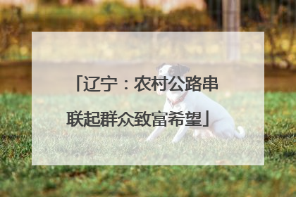 辽宁：农村公路串联起群众致富希望