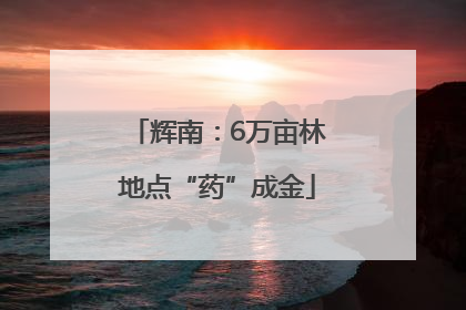 辉南：6万亩林地点“药”成金