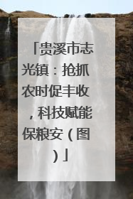 贵溪市志光镇：抢抓农时促丰收，科技赋能保粮安（图）