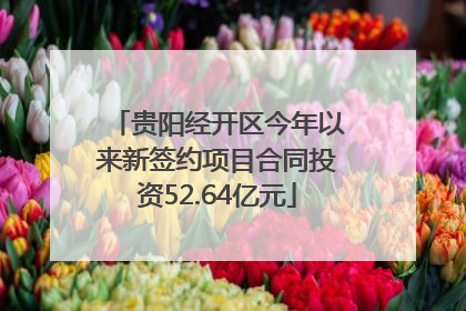 贵阳经开区今年以来新签约项目合同投资52.64亿元