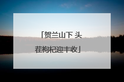 贺兰山下 头茬枸杞迎丰收