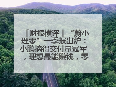 财报横评丨“蔚小理零”一季报出炉：小鹏摘得交付量冠军，理想最能赚钱，零跑迎头赶上，蔚来还在调整
