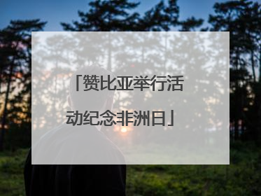 赞比亚举行活动纪念非洲日