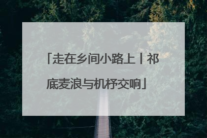走在乡间小路上丨祁底麦浪与机杼交响