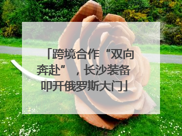 跨境合作“双向奔赴”，长沙装备叩开俄罗斯大门