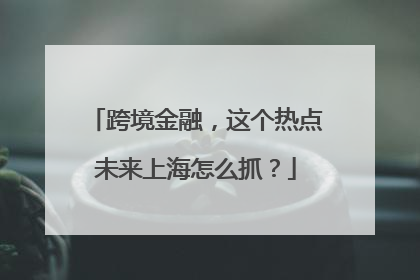 跨境金融，这个热点未来上海怎么抓？