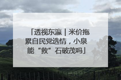 透视东瀛｜米价拖累自民党选情，小泉能“救”石破茂吗