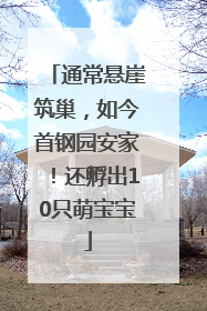 通常悬崖筑巢，如今首钢园安家！还孵出10只萌宝宝