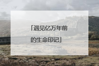 遇见亿万年前的生命印记