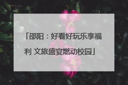 邵阳：好看好玩乐享福利 文旅盛宴燃动校园