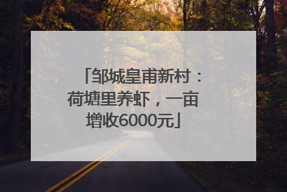 邹城皇甫新村：荷塘里养虾，一亩增收6000元
