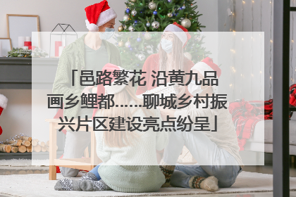 邑路繁花 沿黄九品 画乡鲤都……聊城乡村振兴片区建设亮点纷呈