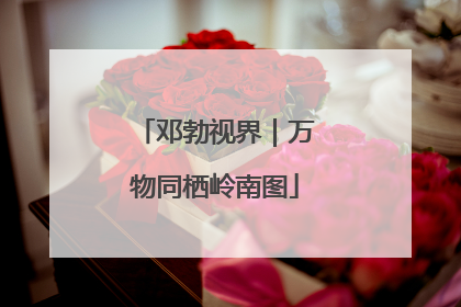 邓勃视界｜万物同栖岭南图